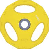 Δίσκος AMILA Pump Rubber Φ30 2,50Kg