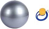 HEALTHY2DAY GYMNASTIC BALL 55 cm