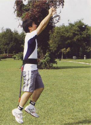 High Jumping Trainer