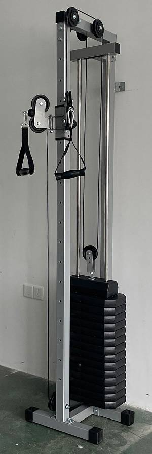 Viking F-1194 wall Mount Functional Trainer