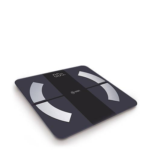 Smart FITBODY 2