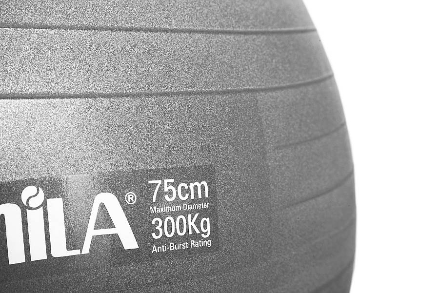 Μπάλα γυμναστικής AMILA GYMBALL 75cm Γκρι
