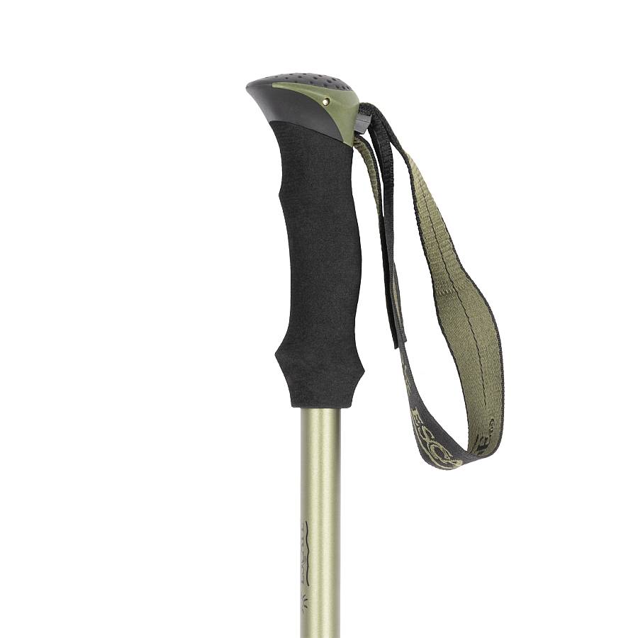Μπαστούνι Trekking Pole Escape Explorer